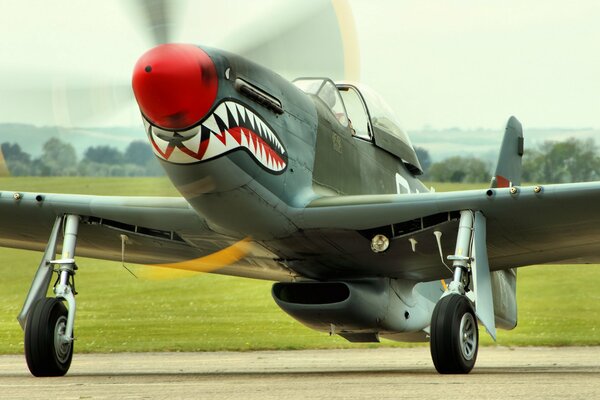 Avión agresivo en el campo