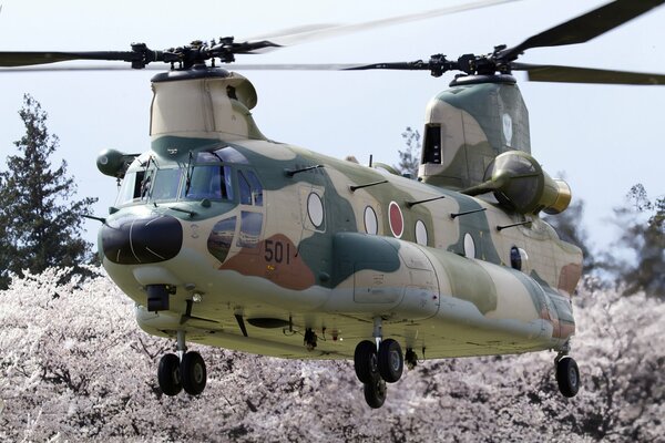 Helicóptero de transporte Chinook bajo sobre el Suelo