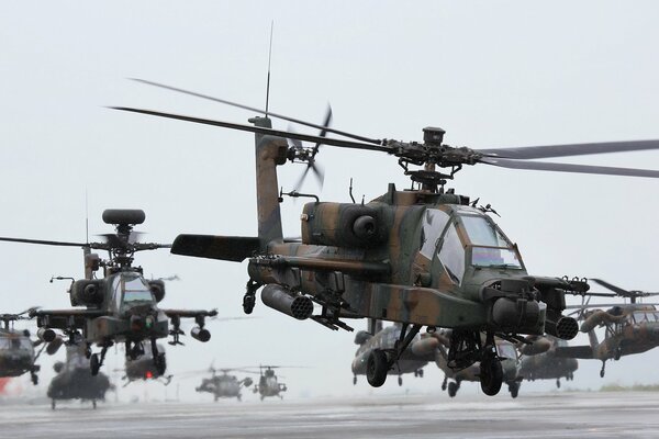 The army conducts exercises with the participation of attack and assault helicopters