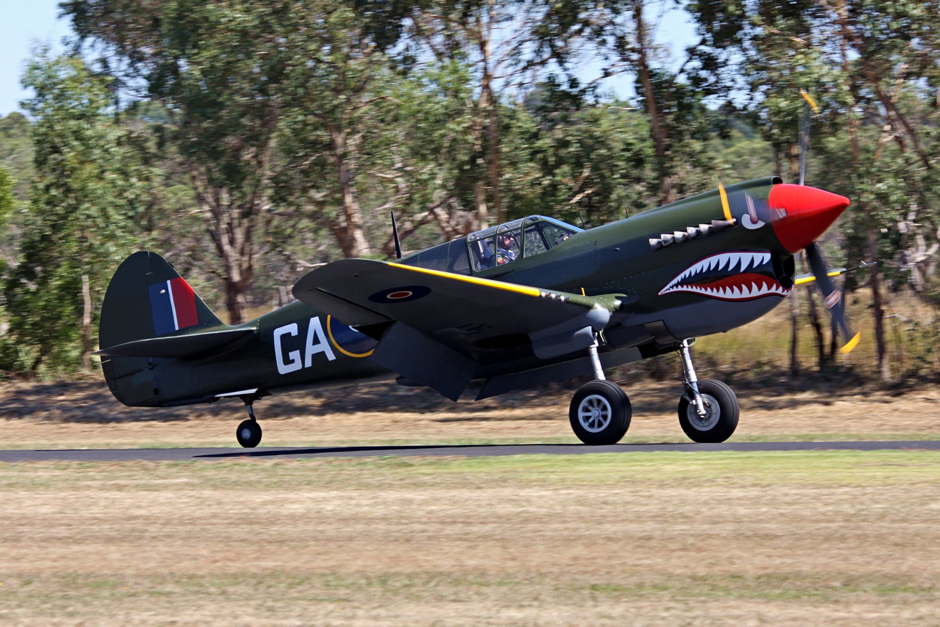 militär historisch verein flugzeug curtiss p-40 curtis amerikanisch einmotorig kämpfer kitihok warhok tomahawk bewaffnung maschinengewehre 6x 7mm weltkrieg vereinigtes königreich bokeh luftschau privat sammlung retro