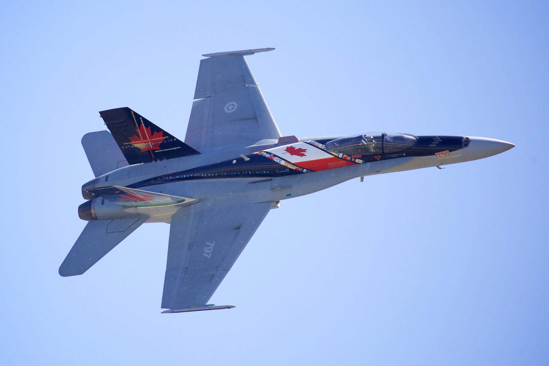 mcdonnell douglas cf-18 calabrone caccia multiuso