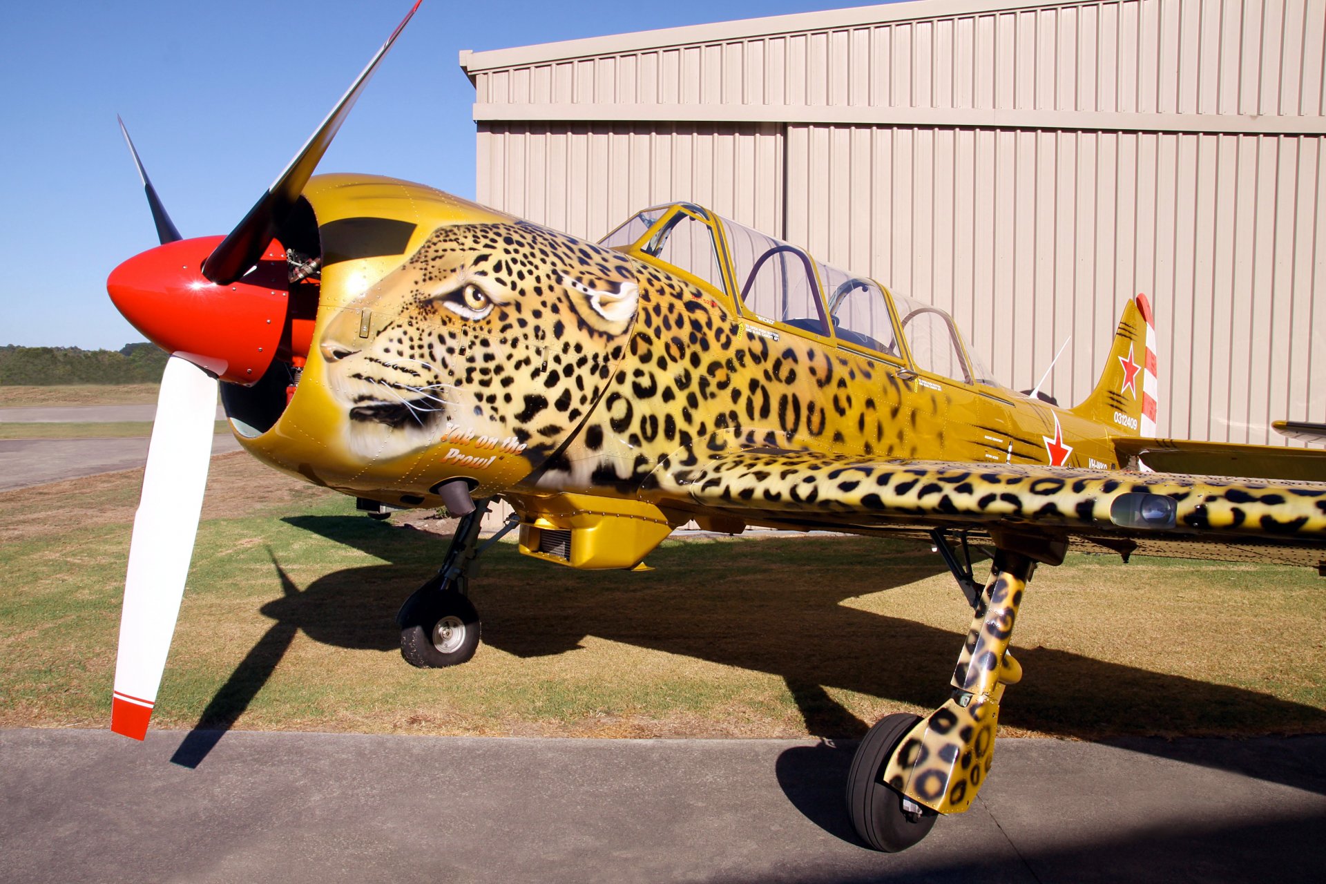 military historical club plane yak-52 yak-52 soviet russia sports training double all-metal monoplane low-lying cantilever wing airbrush leopard airshow private collection retro