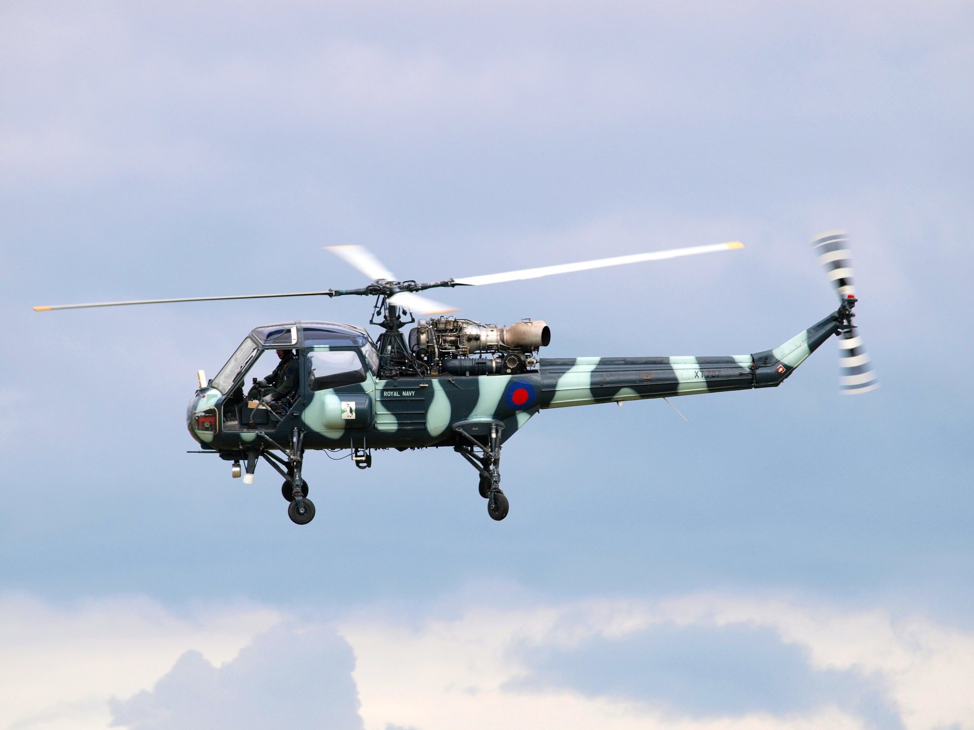 westland scout britannico multiuso militare