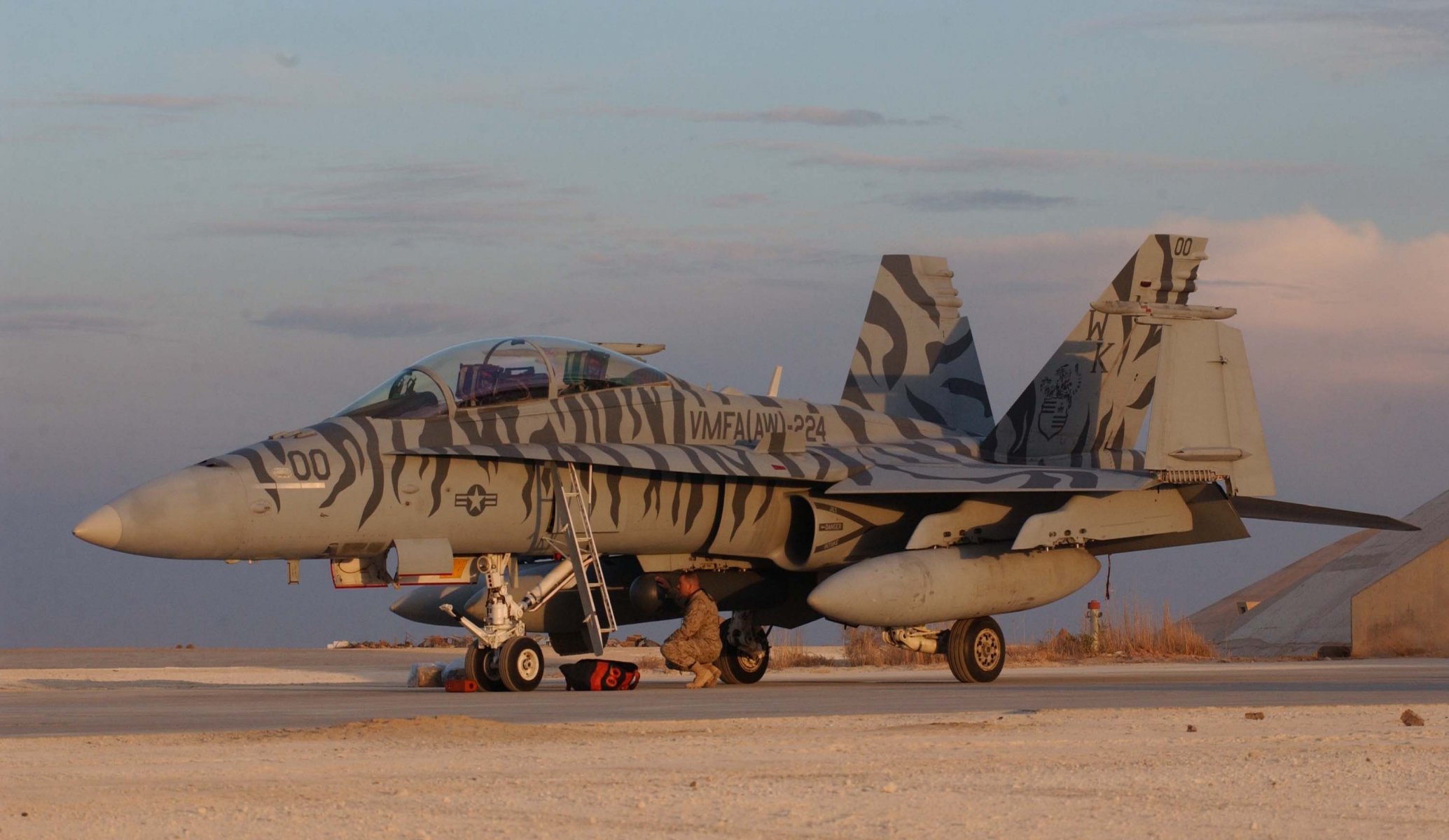 mcdonnell douglas f / a-18d avispón ee.uu. base aérea de al assad cubierta cazabombardero avión de ataque camuflaje