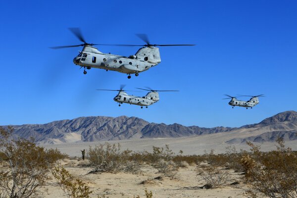 Helicópteros de transporte militar sobre montañas con arena y arbustos