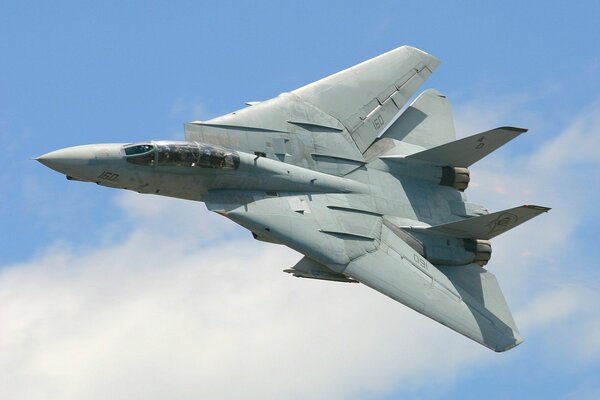 Avión de combate biplaza Grumman f-14