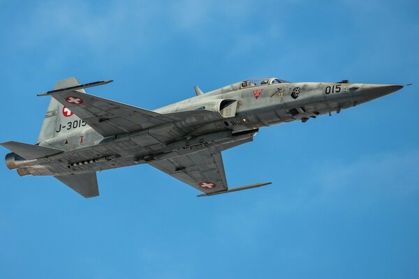 Northrop f- 5 tiger Flugzeug am Himmel