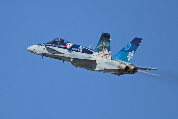 The multi-purpose fighter hornet cf-18 is flying in the sky