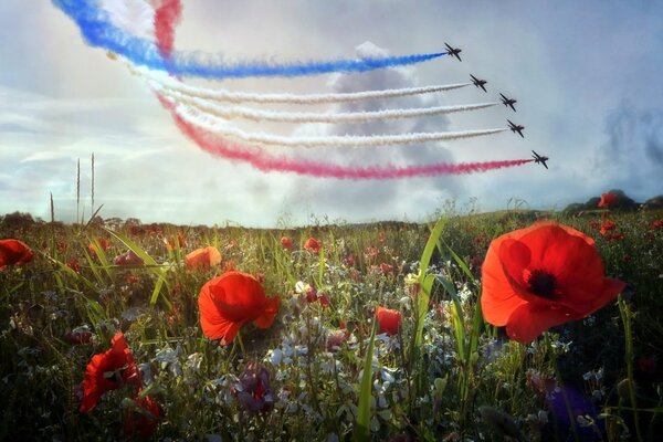 Ein Glied aus fünf Flugzeugen zeichnet eine Trikolore in den Himmel. Unten sind Mohnblumen