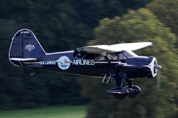 Amerikanischer Leichtflugzeug mit geschlossener Kabine