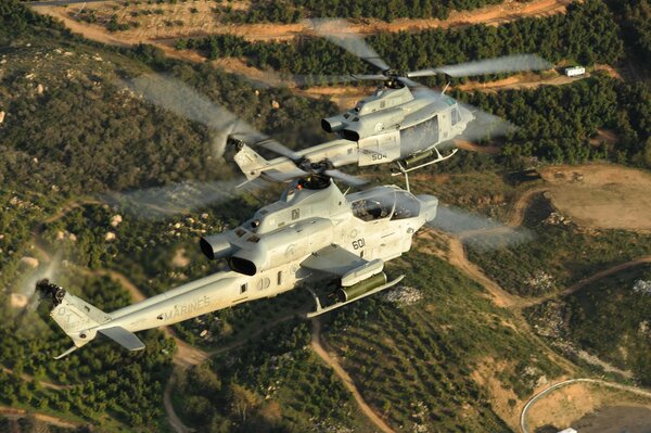 Couple d hélicoptères militaires volant au-dessus du sol