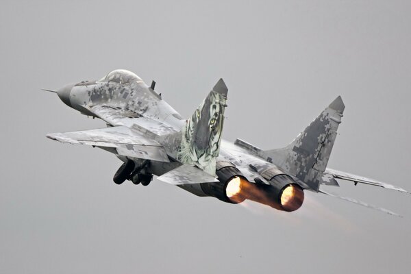 A military fighter takes off into the sky