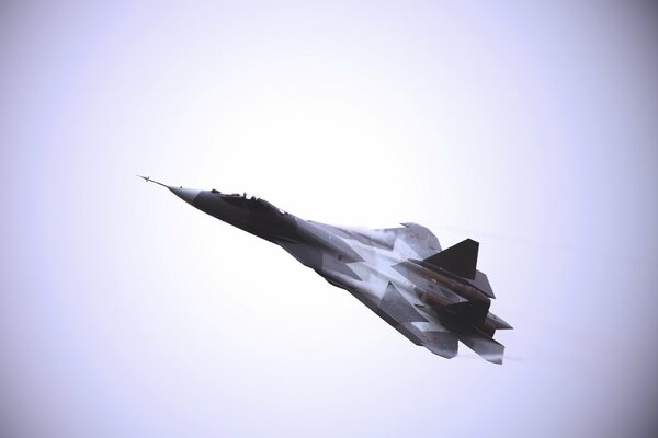 Multi-purpose fighter on Air Force Day on a white background