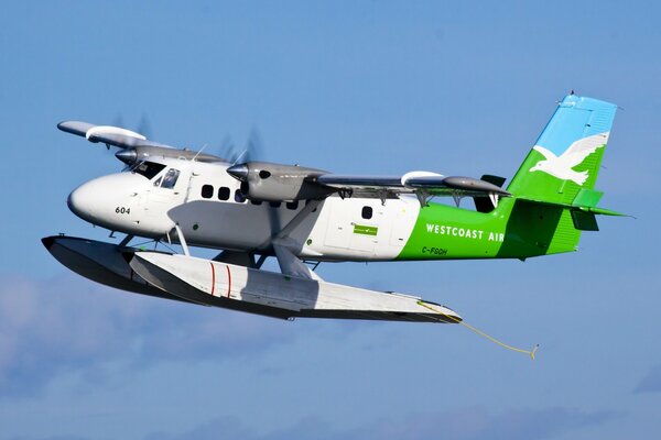 Voler sur un hydravion dans le ciel bleu