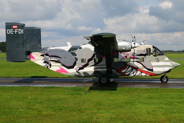 Plane with shark art at the airfield