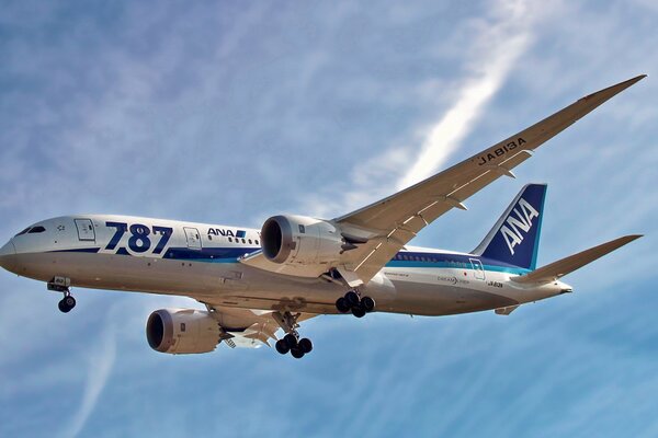 Boeing 787 vuela contra el cielo azul