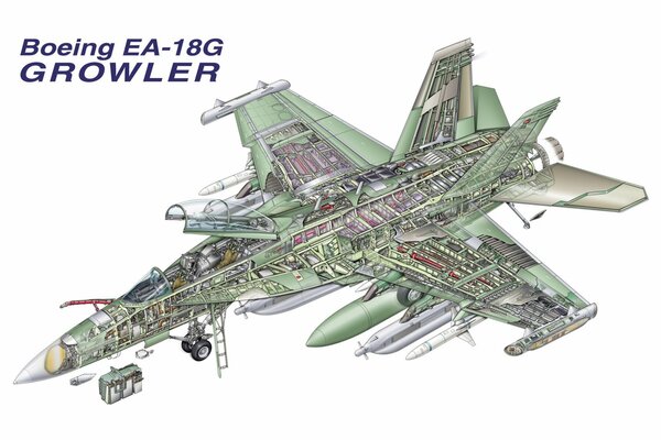 Schemat pokładowego elektronicznego Boeinga EA-18 Growler lub Growler .