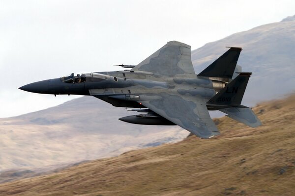 Combattant militaire dans le ciel sur les montagnes et les champs