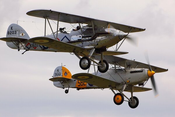 A pair of hawker demon on a gray sky background