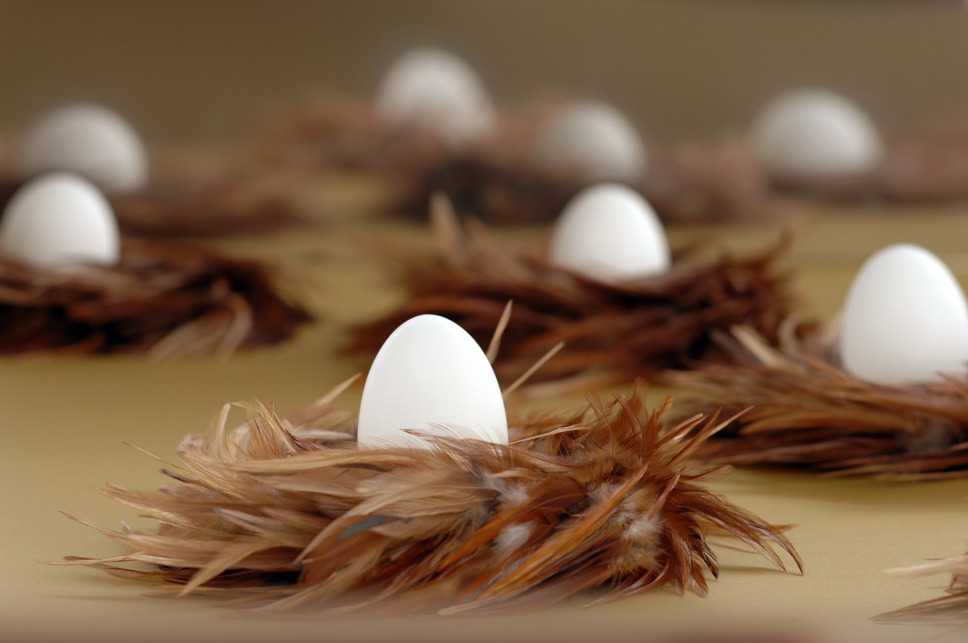 easter eggs feather