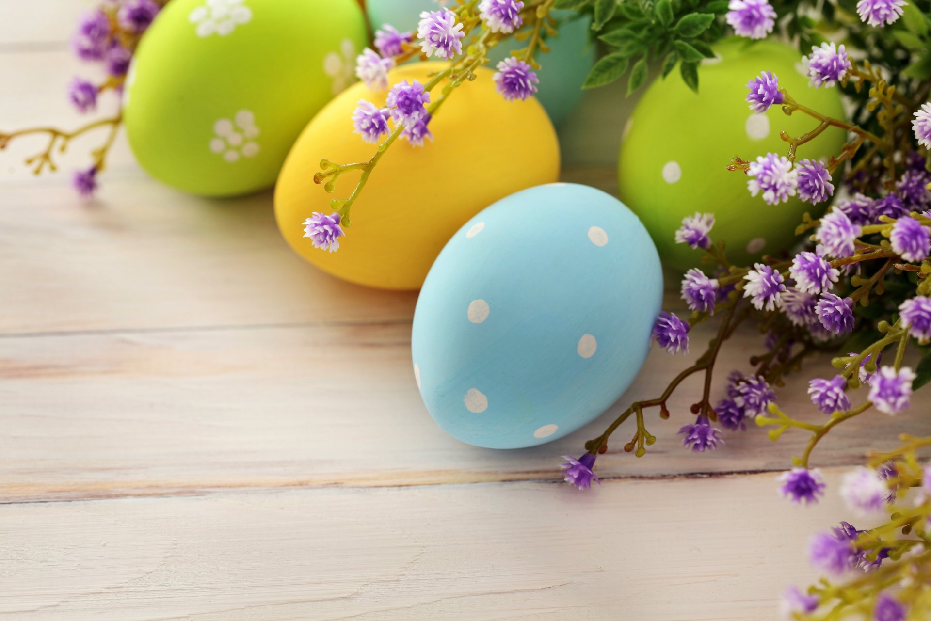 ostern frühling feiertag eier ostern zweig blumen