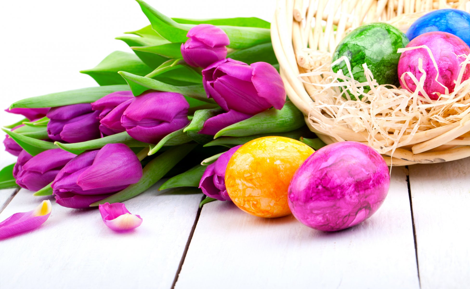 tulips lilac flowers spring holiday easter eggs easter