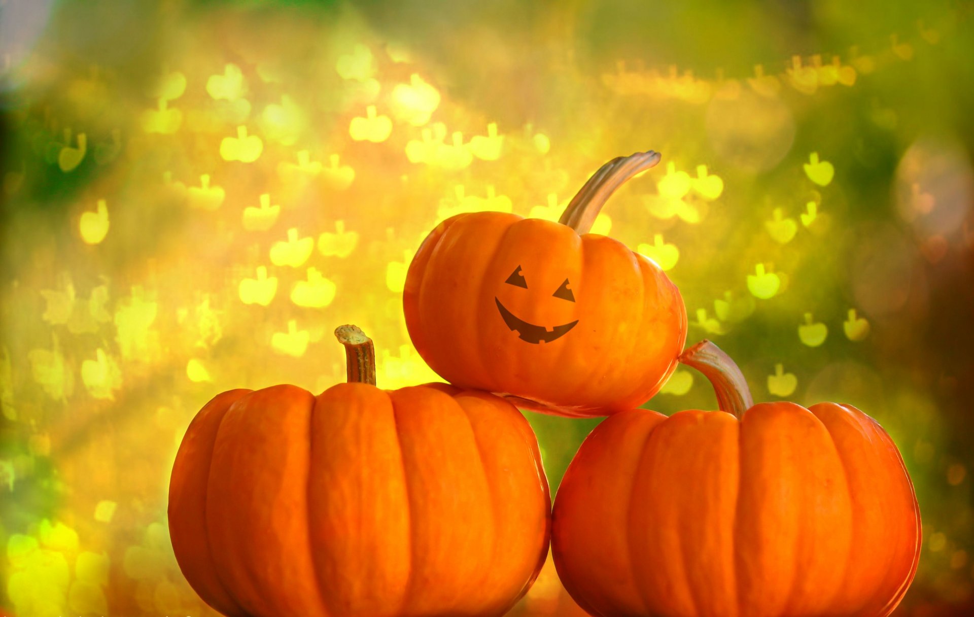 halloween helloween pumpkin background