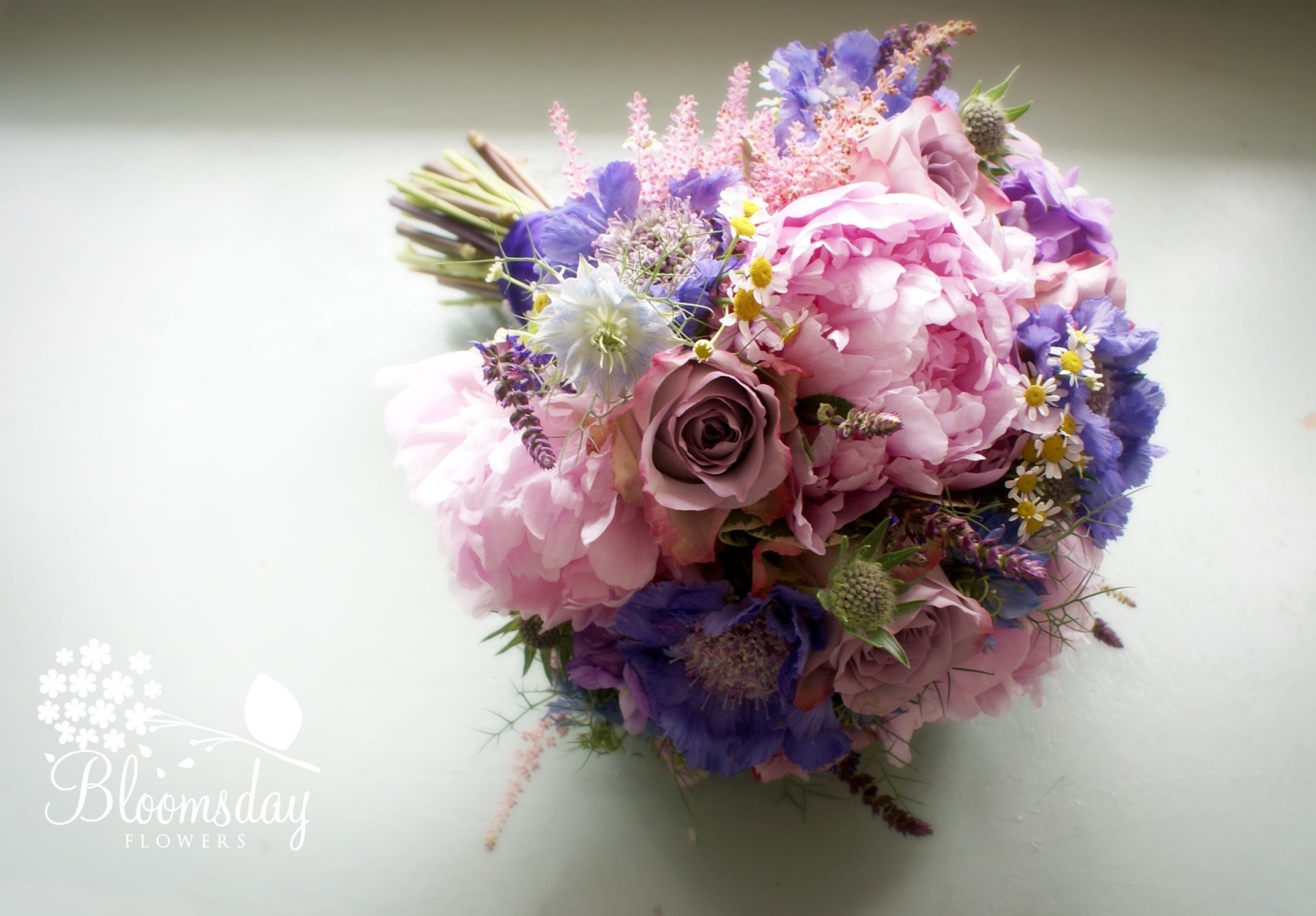 scabiosa nigella camomille roses pivoines bouquet composition fleurs