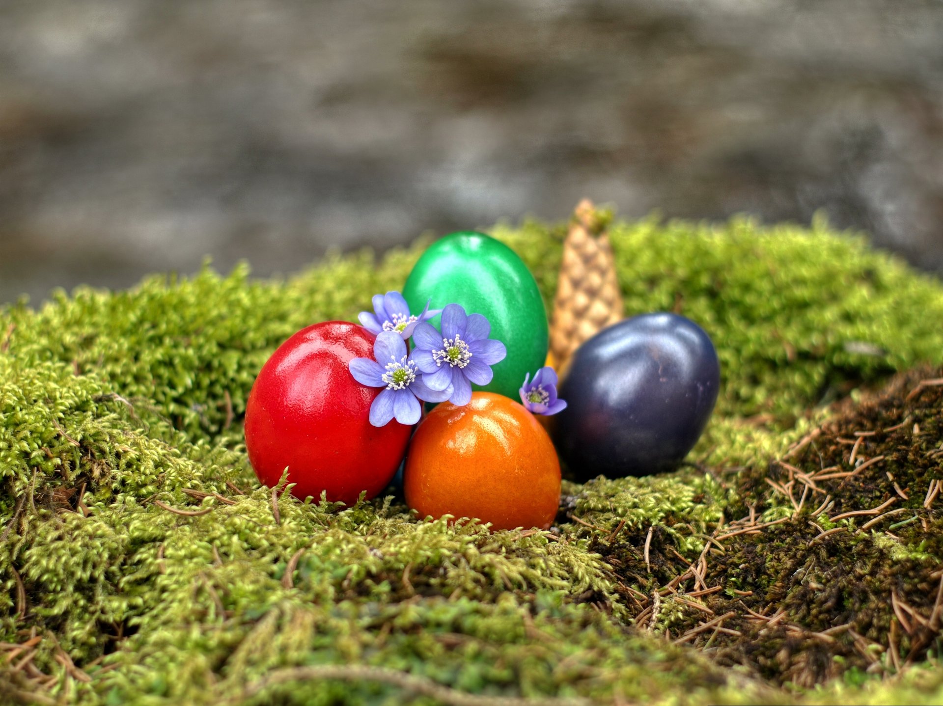 easter moss eggs flower bump