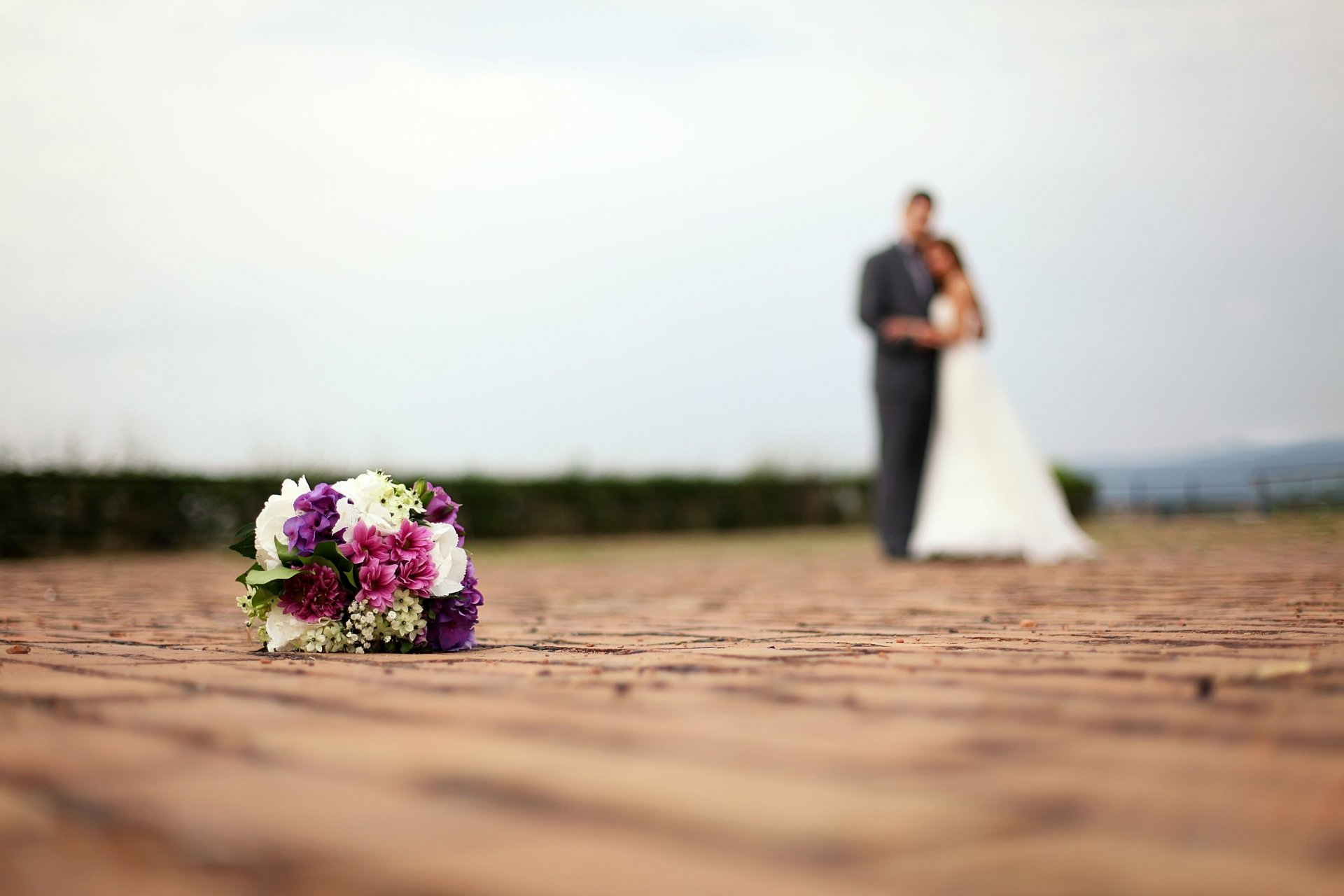 vacances vacances mariage mariée marié robe de mariée costume bouquet fleurs fleurs feuilles macro fond fond d écran écran large plein écran écran large