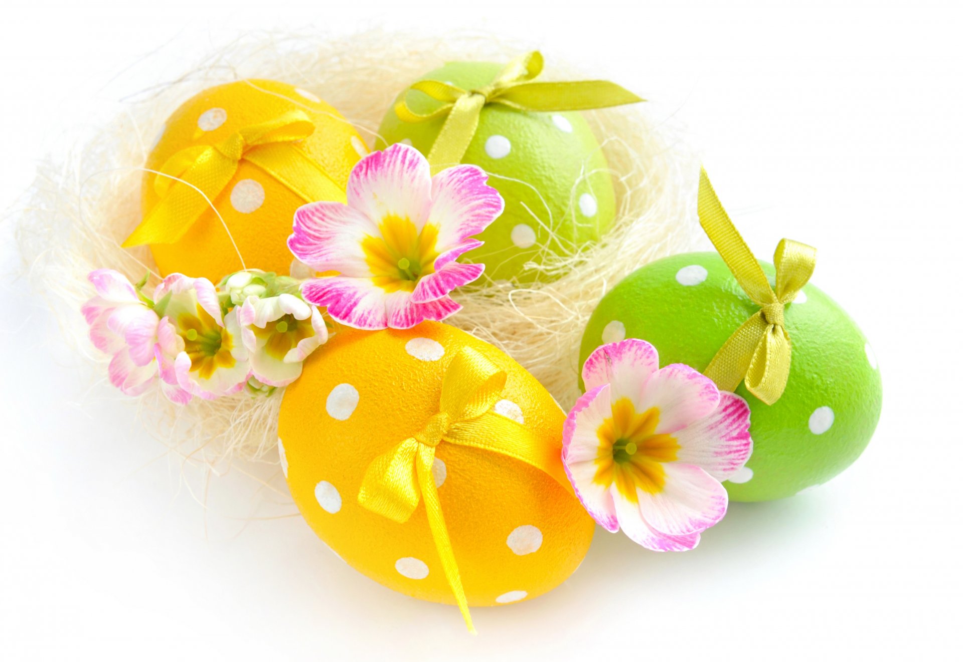 easter eggs spring flower