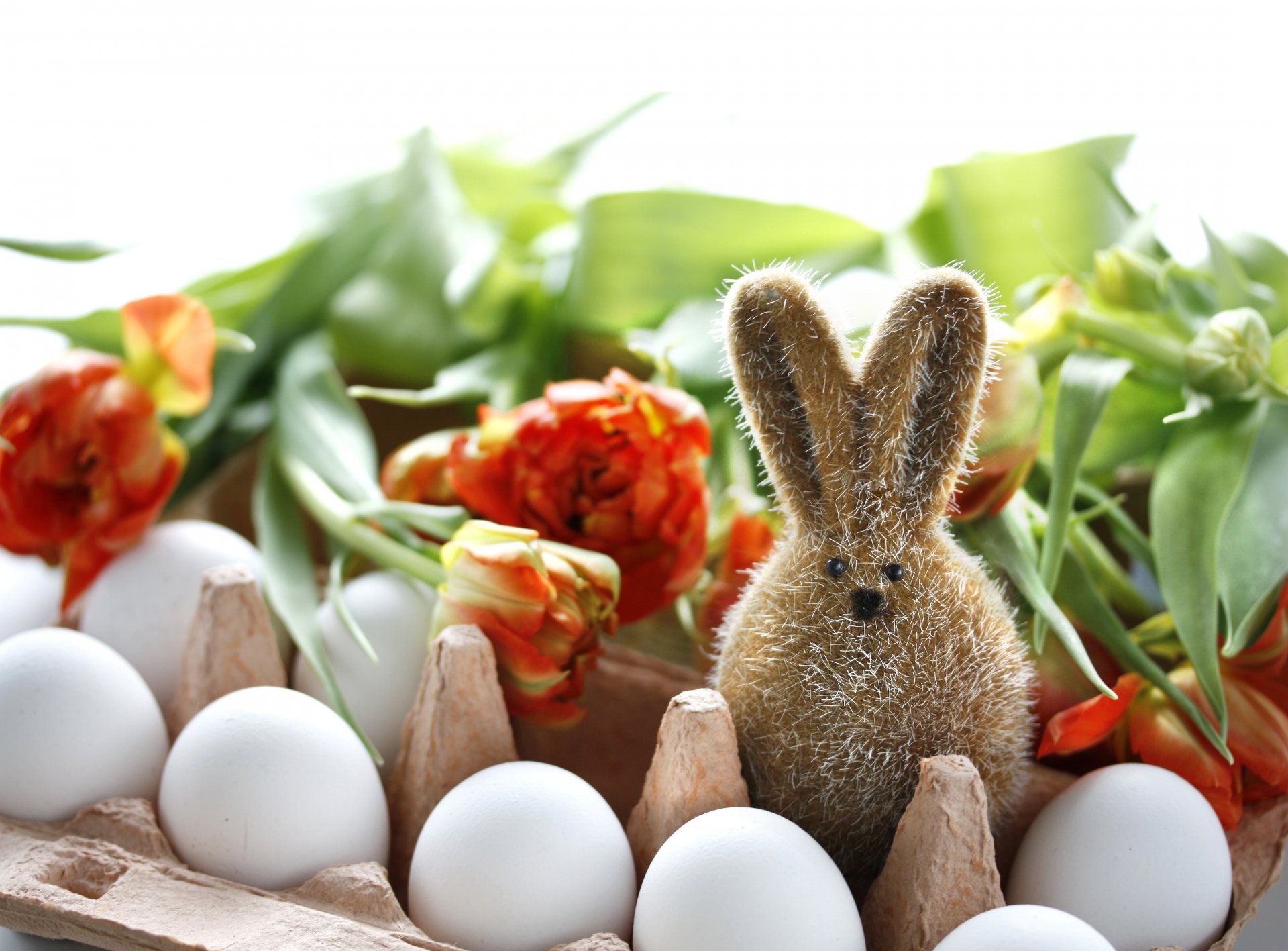 oeufs lièvre fleurs pâques