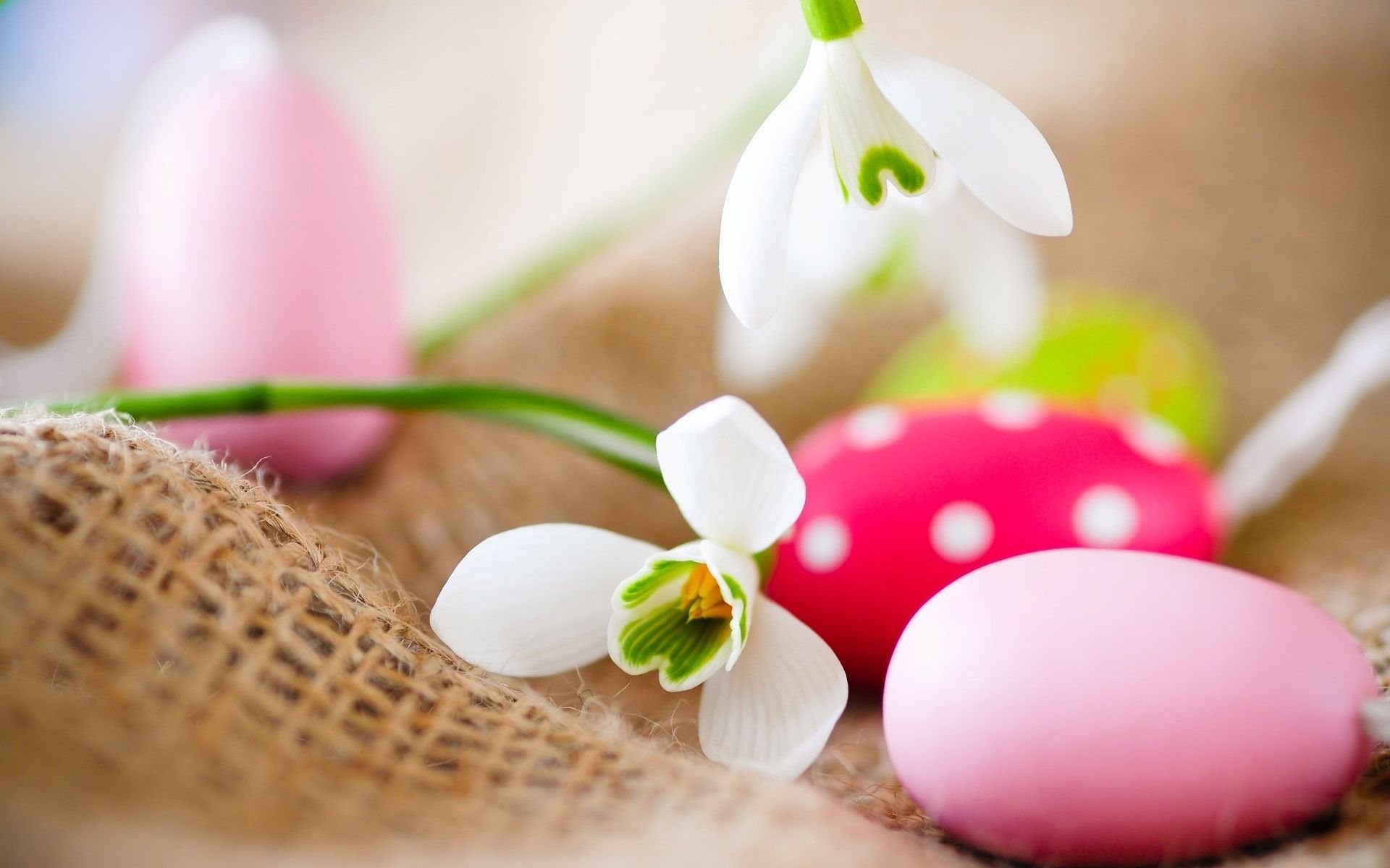 ostern ostereier farben blumen schneeglöckchen