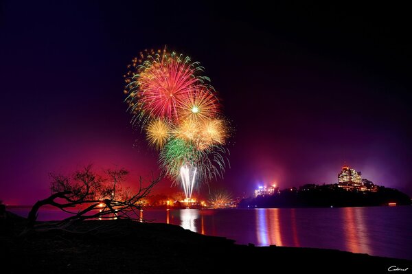 Fireworks over the water at night