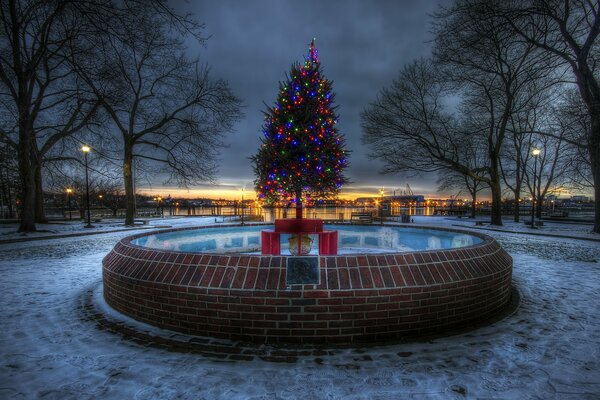 Photo city evening Christmas tree with lights in the middle of the fountain