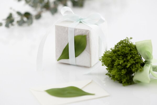 A gift box with a white ribbon and a small bouquet of green