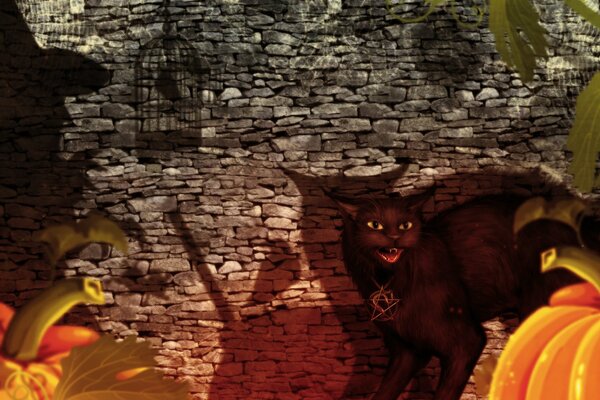 Fantasy avec une sorcière et un chat pour Halloween