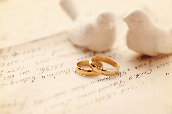 Lovebirds wedding rings tenderness