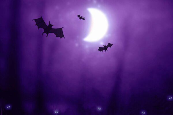 Bats by moonlight