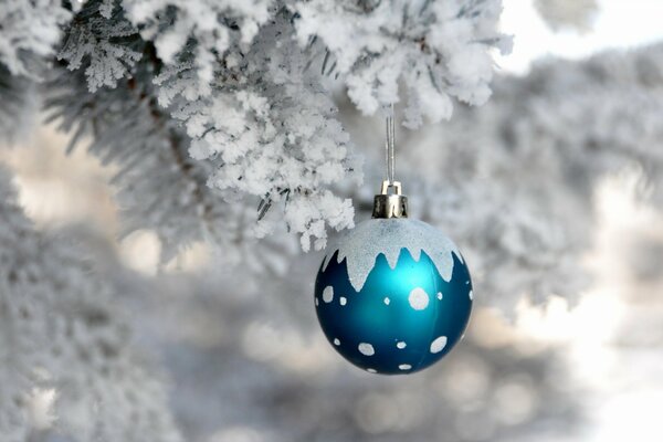 Boule de Noël bleu sur une branche enneigée