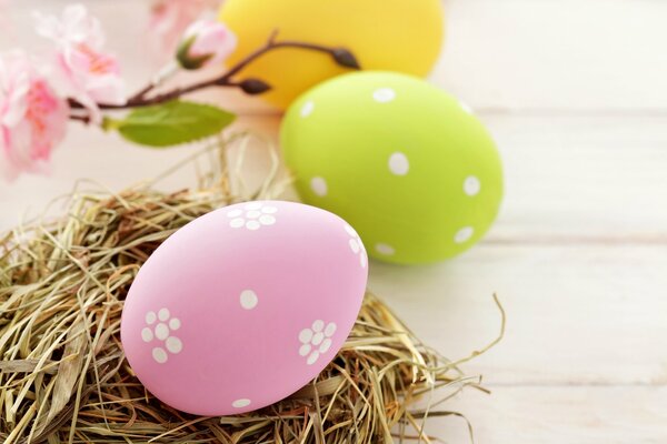 Nido de huevos de Pascua en el Festival de primavera