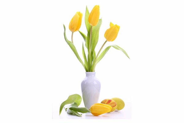 Zarte gelbe Tulpen in einer weißen Vase