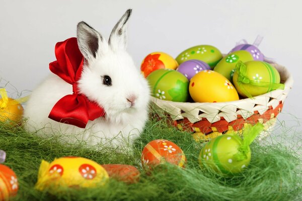 Lapin blanc avec un arc rouge