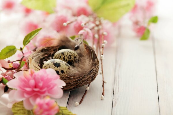 A quail s nest among pink flowers