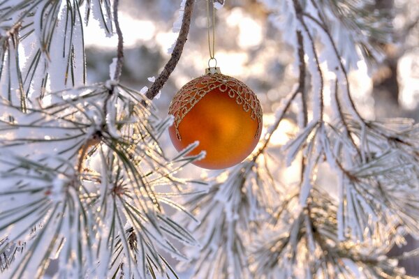 Boule de Noël orange sur une branche de pin