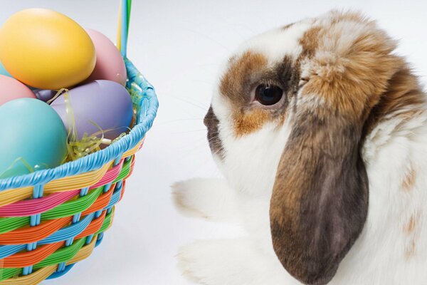 Lapin et osier carzina avec des œufs