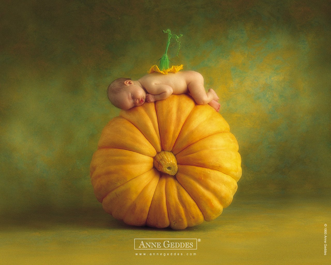 zucca bambino helloween