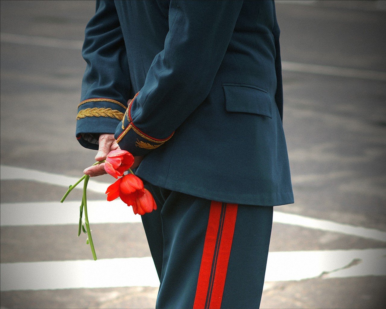 may 9 victory day flower veteran