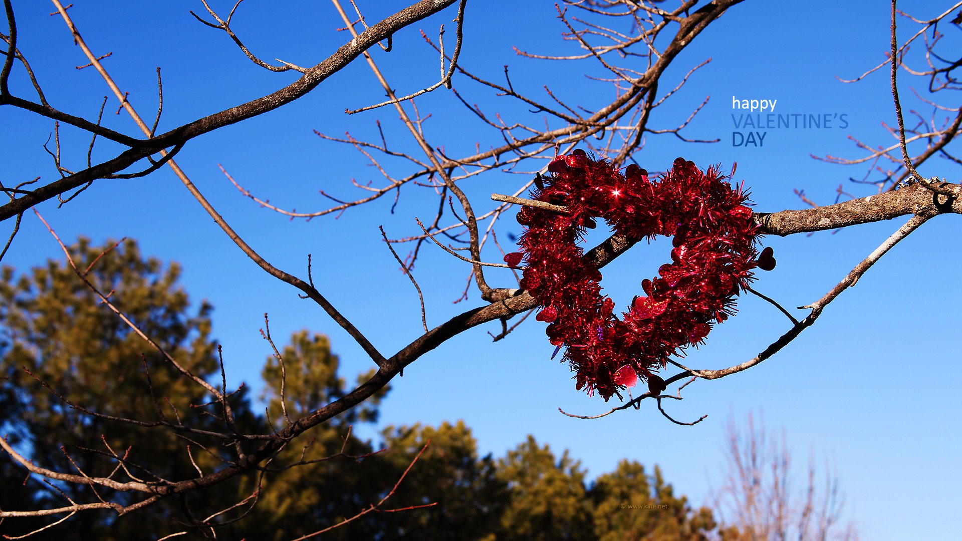 corazón amor romance día de san valentín vacaciones