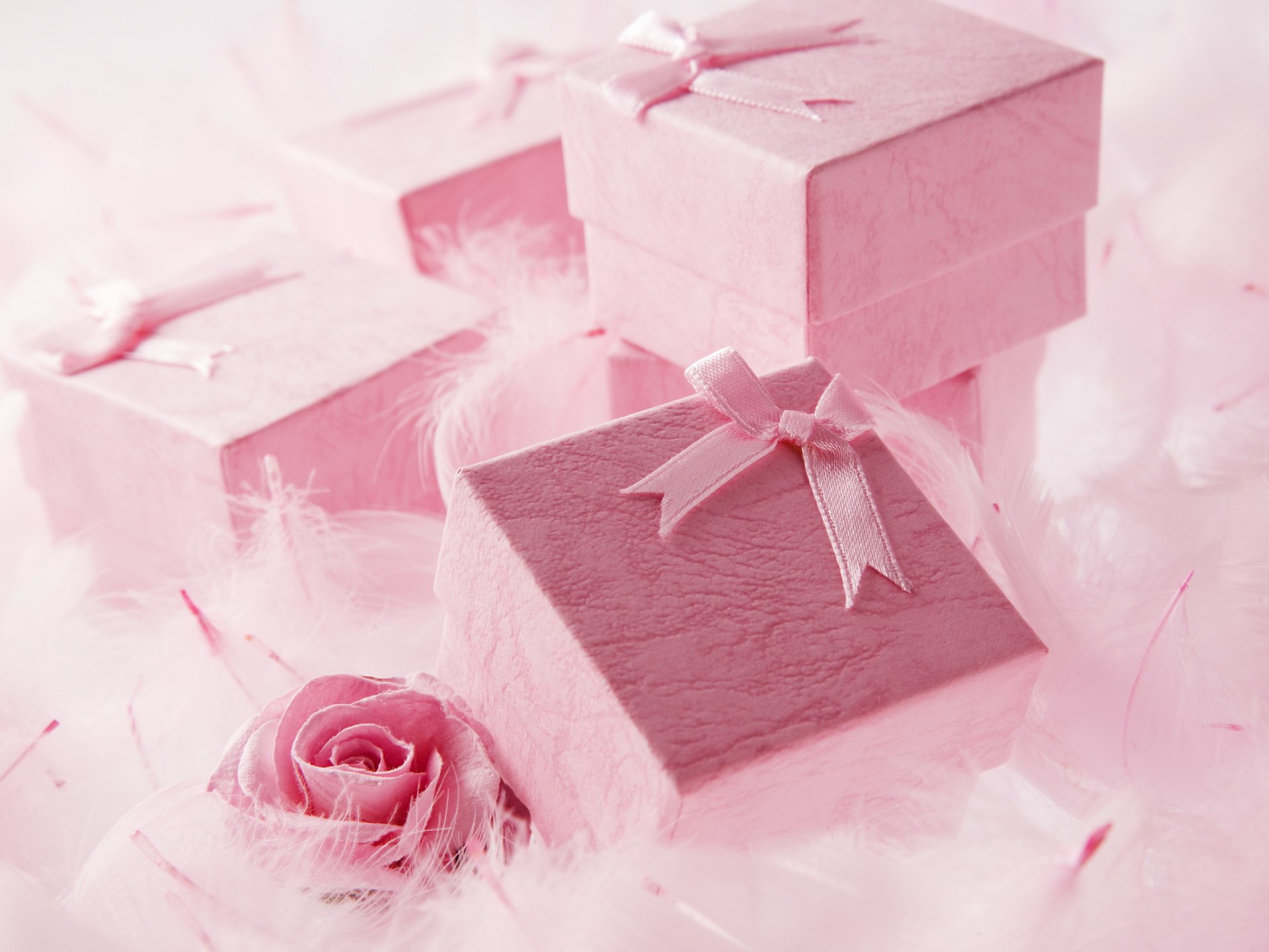 vacaciones regalos cajas rosa sorpresa perlas perlas